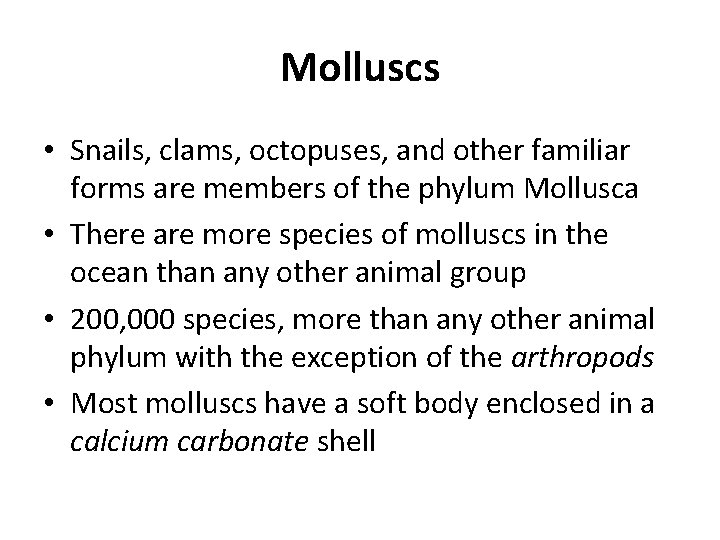 Molluscs • Snails, clams, octopuses, and other familiar forms are members of the phylum