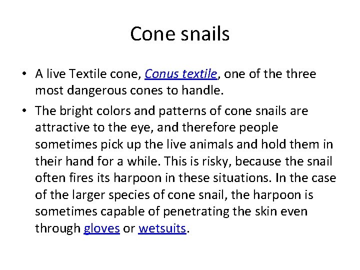 Cone snails • A live Textile cone, Conus textile, one of the three most