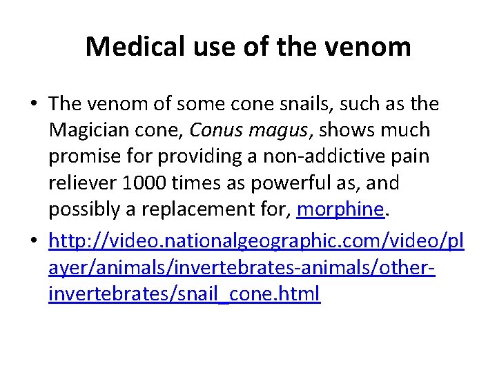 Medical use of the venom • The venom of some cone snails, such as