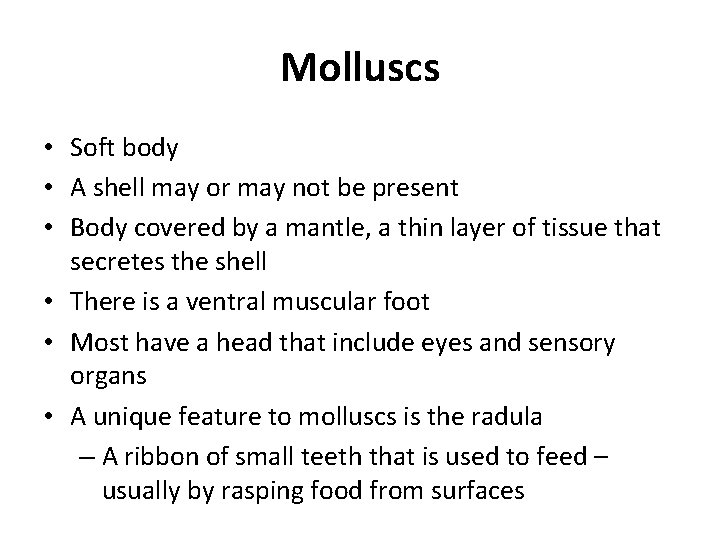 Molluscs • Soft body • A shell may or may not be present •