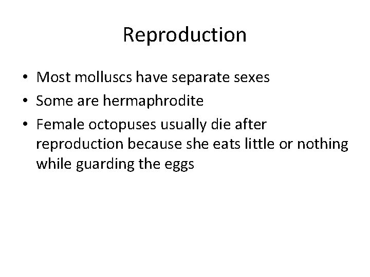 Reproduction • Most molluscs have separate sexes • Some are hermaphrodite • Female octopuses