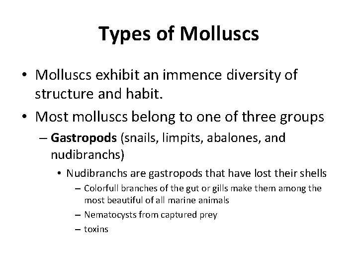 Types of Molluscs • Molluscs exhibit an immence diversity of structure and habit. •