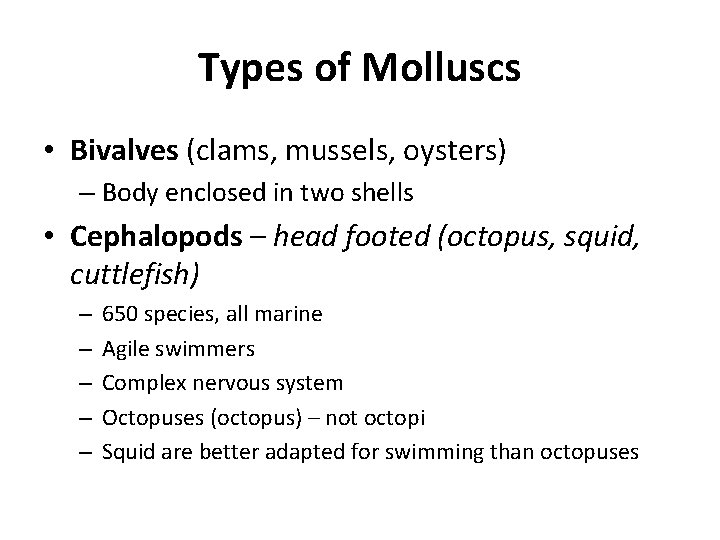 Types of Molluscs • Bivalves (clams, mussels, oysters) – Body enclosed in two shells