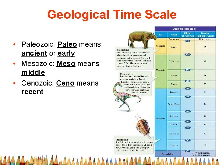 Geological Time Scale • Paleozoic: Paleo means ancient or early • Mesozoic: Meso means
