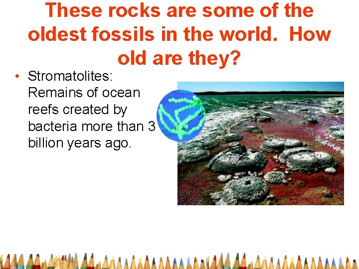 These rocks are some of the oldest fossils in the world. How old are