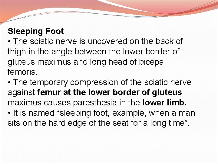 Sleeping Foot • The sciatic nerve is uncovered on the back of thigh in