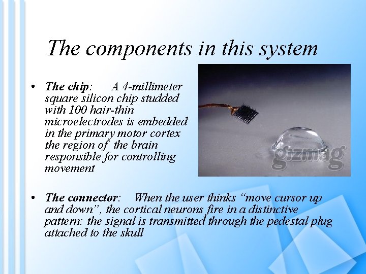 The components in this system • The chip: A 4 -millimeter square silicon chip