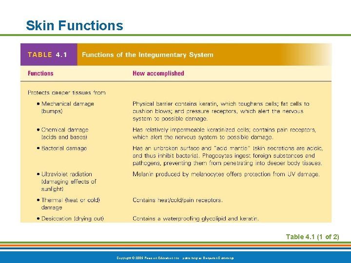 Skin Functions Table 4. 1 (1 of 2) Copyright © 2009 Pearson Education, Inc.