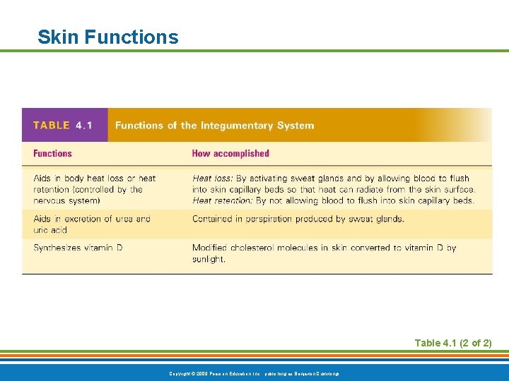 Skin Functions Table 4. 1 (2 of 2) Copyright © 2009 Pearson Education, Inc.