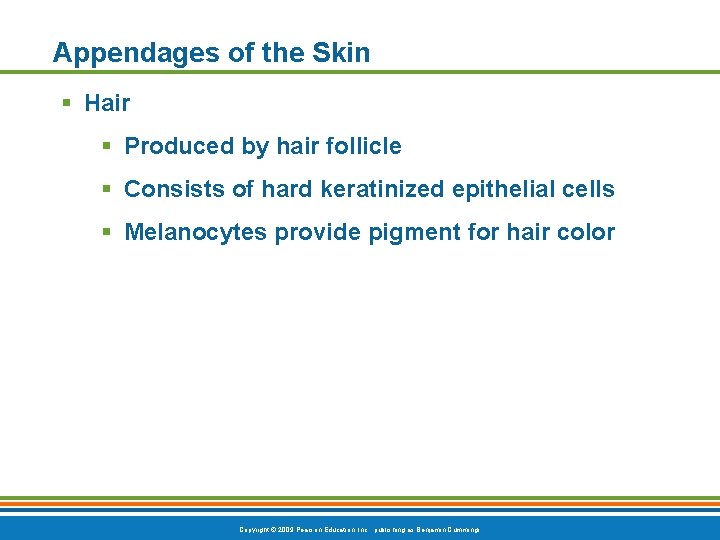 Appendages of the Skin § Hair § Produced by hair follicle § Consists of