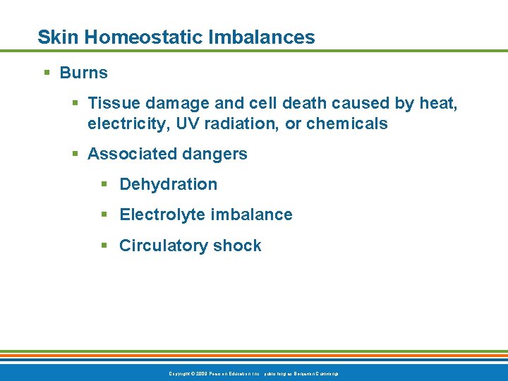 Skin Homeostatic Imbalances § Burns § Tissue damage and cell death caused by heat,