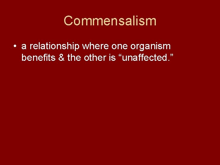 Commensalism • a relationship where one organism benefits & the other is “unaffected. ”