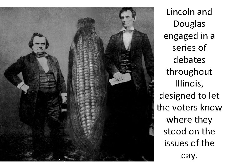 Lincoln and Douglas engaged in a series of debates throughout Illinois, designed to let