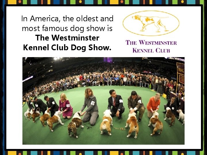 In America, the oldest and most famous dog show is The Westminster Kennel Club