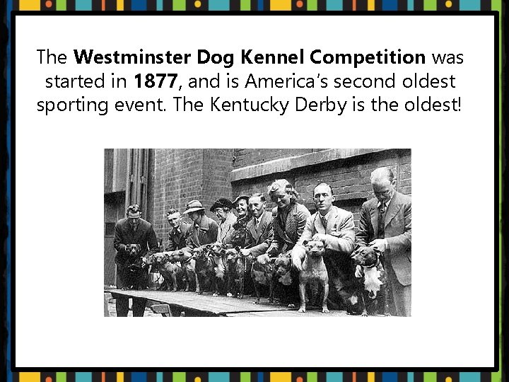 The Westminster Dog Kennel Competition was started in 1877, and is America’s second oldest