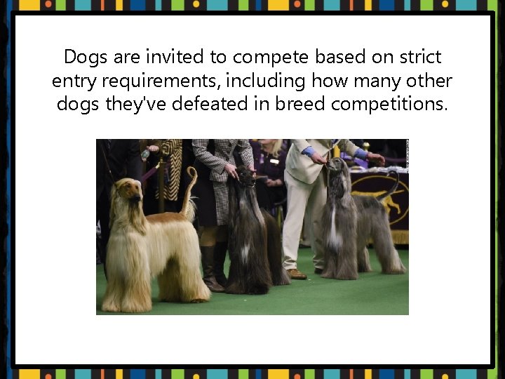 Dogs are invited to compete based on strict entry requirements, including how many other