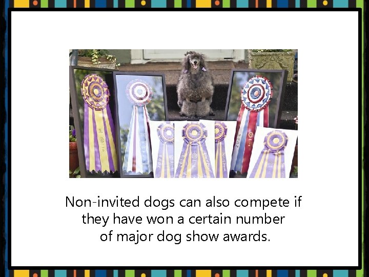Non-invited dogs can also compete if they have won a certain number of major