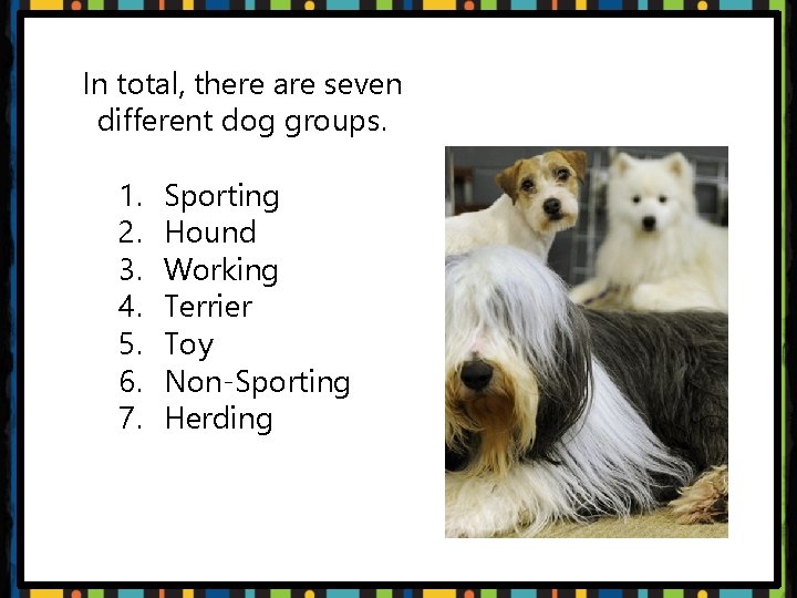 In total, there are seven different dog groups. 1. 2. 3. 4. 5. 6.