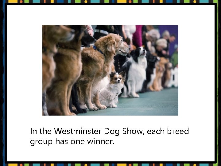 In the Westminster Dog Show, each breed group has one winner. 