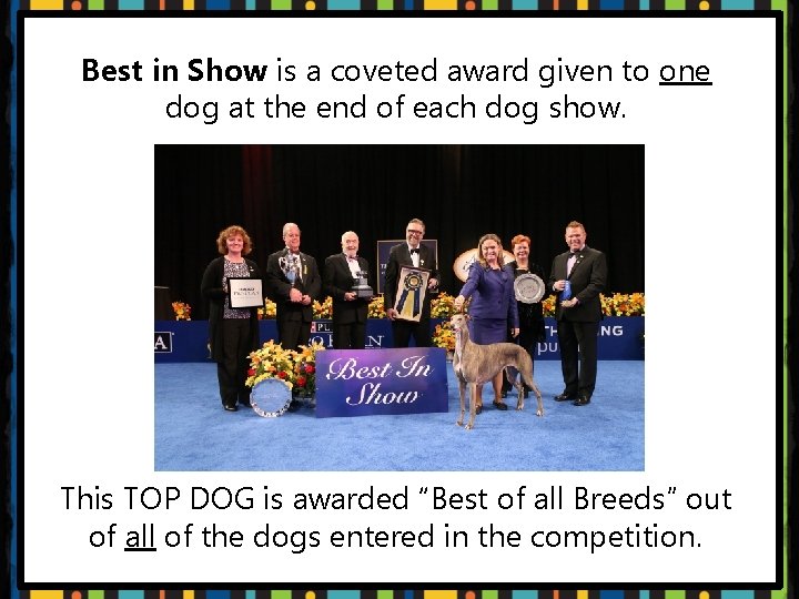 Best in Show is a coveted award given to one dog at the end