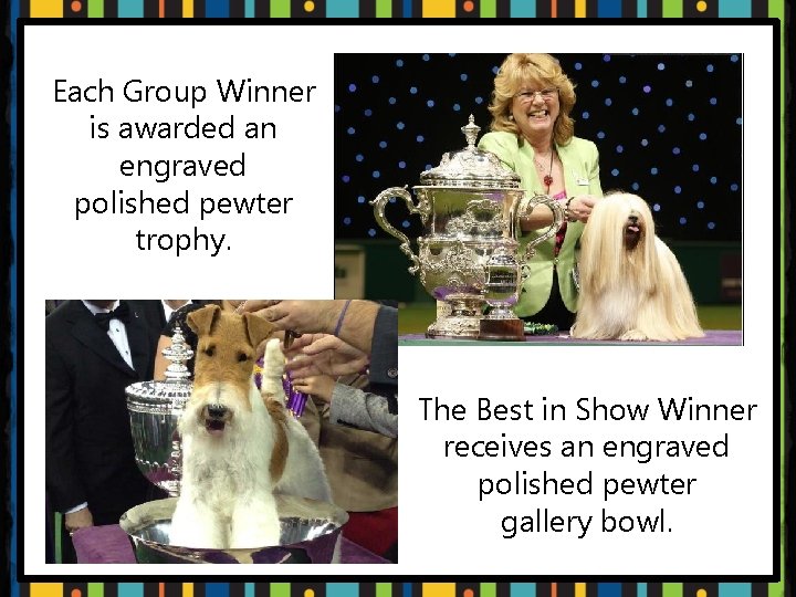 Each Group Winner is awarded an engraved polished pewter trophy. The Best in Show