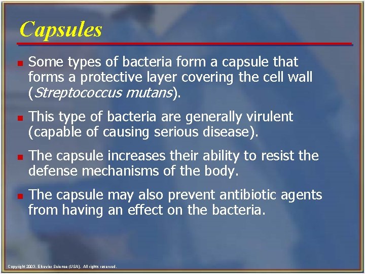 Capsules n n Some types of bacteria form a capsule that forms a protective