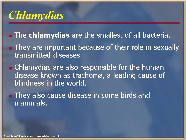 Chlamydias n n The chlamydias are the smallest of all bacteria. They are important