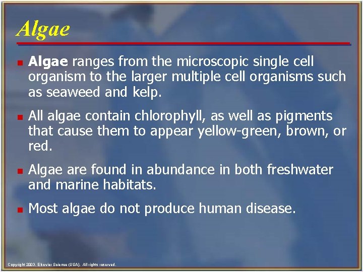 Algae n n Algae ranges from the microscopic single cell organism to the larger