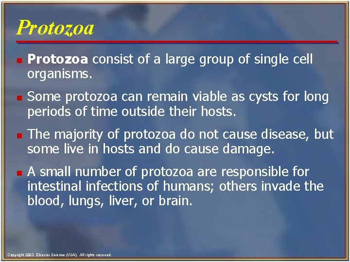Protozoa n n Protozoa consist of a large group of single cell organisms. Some