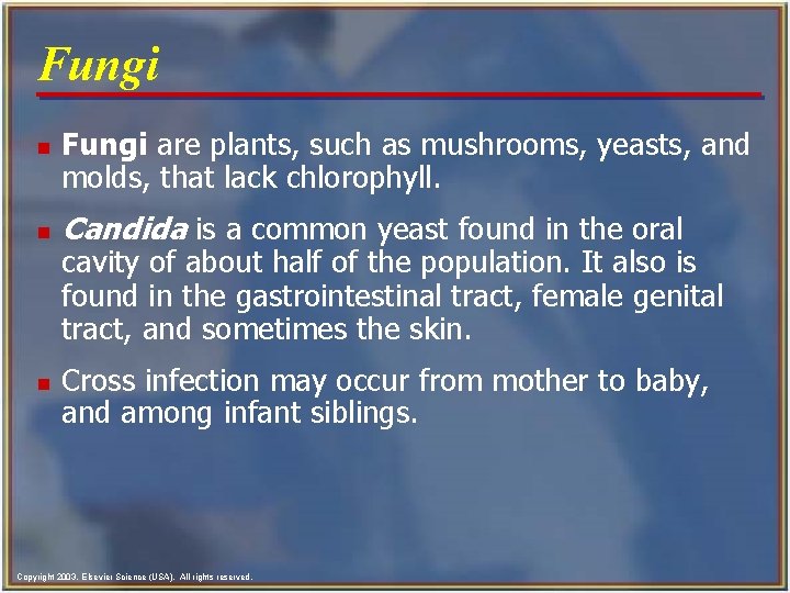 Fungi n n n Fungi are plants, such as mushrooms, yeasts, and molds, that