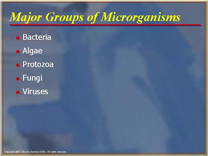 Major Groups of Microrganisms n Bacteria n Algae n Protozoa n Fungi n Viruses