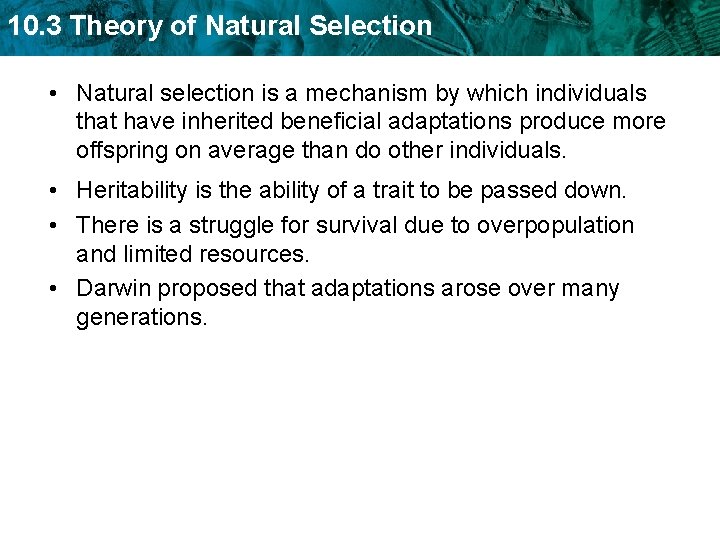 10. 3 Theory of Natural Selection • Natural selection is a mechanism by which