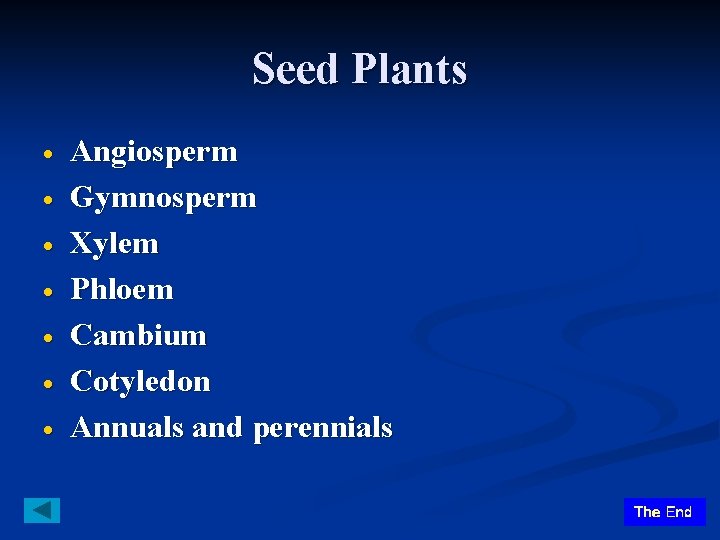 Seed Plants Angiosperm Gymnosperm Xylem Phloem Cambium Cotyledon Annuals and perennials 