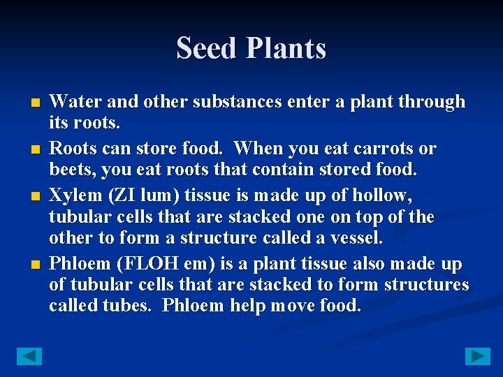 Seed Plants n n Water and other substances enter a plant through its roots.