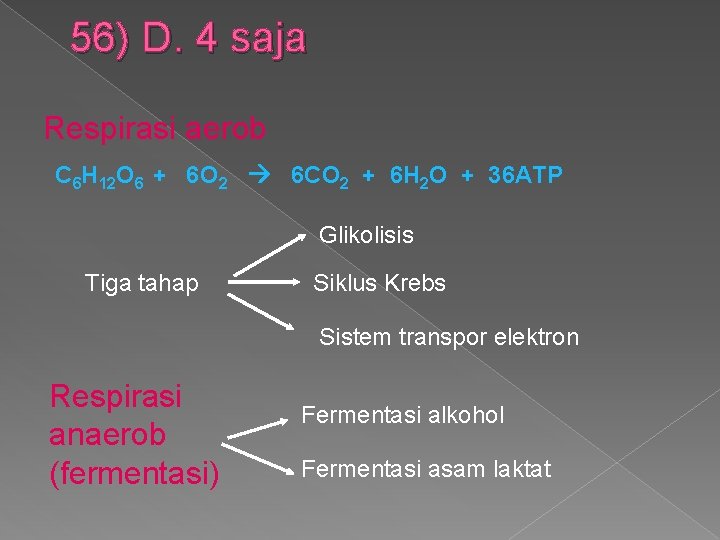 56) D. 4 saja Respirasi aerob C 6 H 12 O 6 + 6