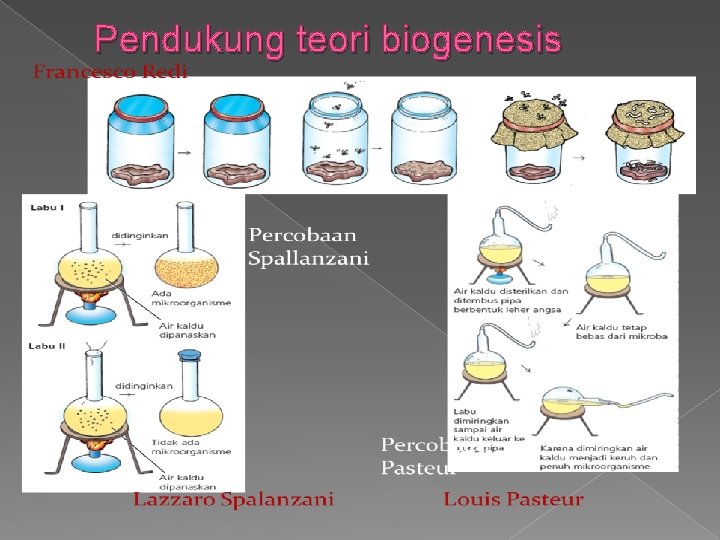 Pendukung teori biogenesis 