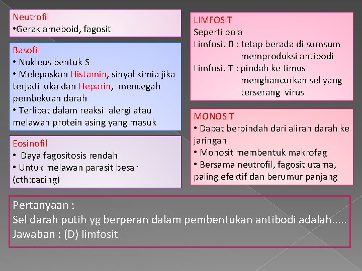 Neutrofil • Gerak ameboid, fagosit Basofil • Nukleus bentuk S • Melepaskan Histamin, sinyal