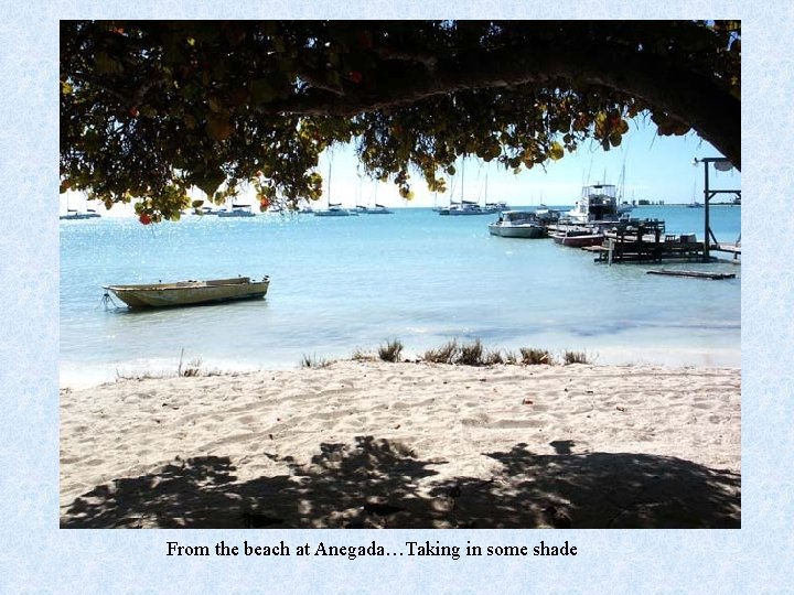 From the beach at Anegada…Taking in some shade 