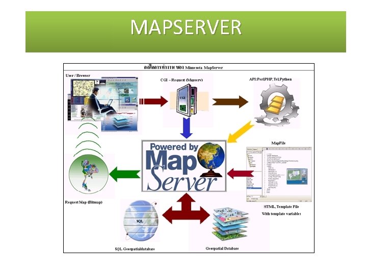 MAPSERVER 