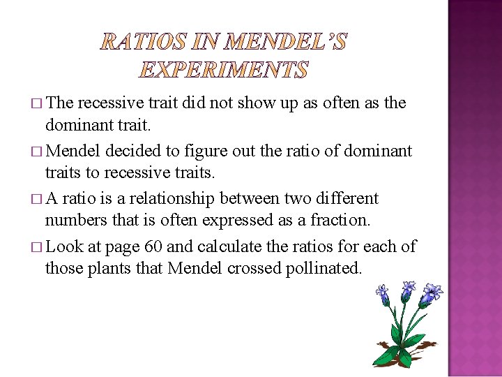 � The recessive trait did not show up as often as the dominant trait.