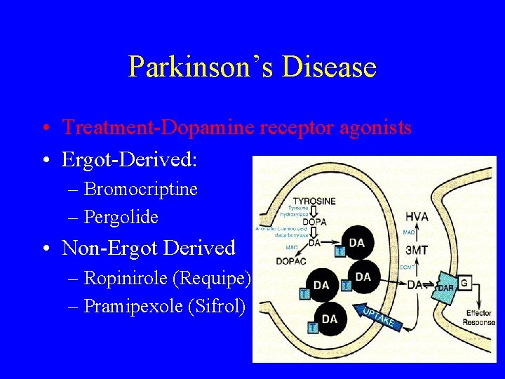 Parkinson’s Disease • Treatment-Dopamine receptor agonists • Ergot-Derived: – Bromocriptine – Pergolide • Non-Ergot