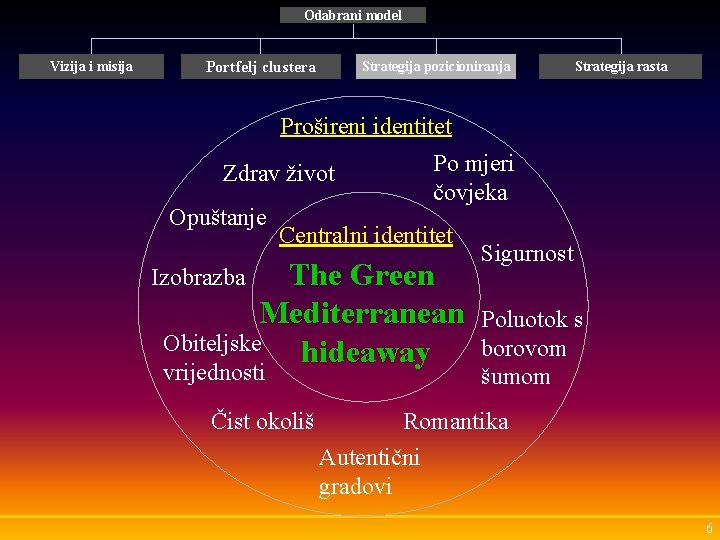 Odabrani model Vizija i misija Portfelj clustera Strategija pozicioniranja Strategija rasta Prošireni identitet Zdrav