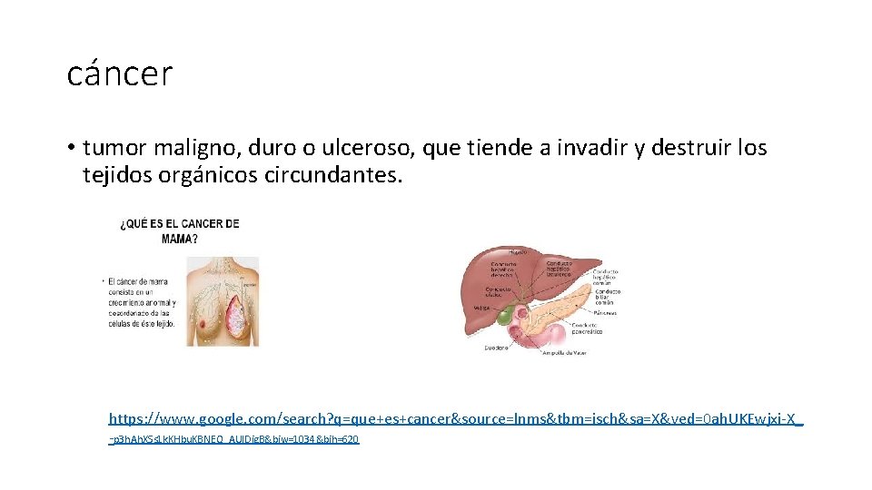 cáncer • tumor maligno, duro o ulceroso, que tiende a invadir y destruir los