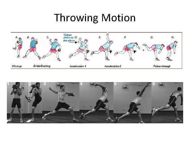 Throwing Motion 