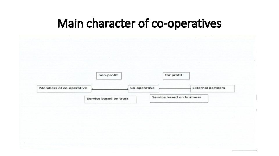 Main character of co-operatives 