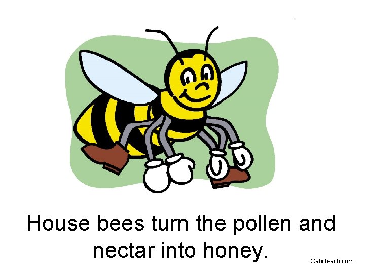 House bees turn the pollen and nectar into honey. ©abcteach. com 