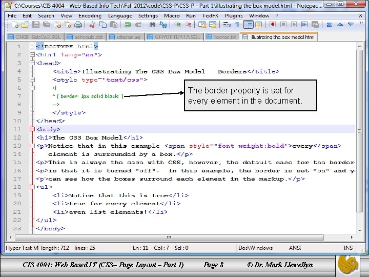 The border property is set for every element in the document. CIS 4004: Web