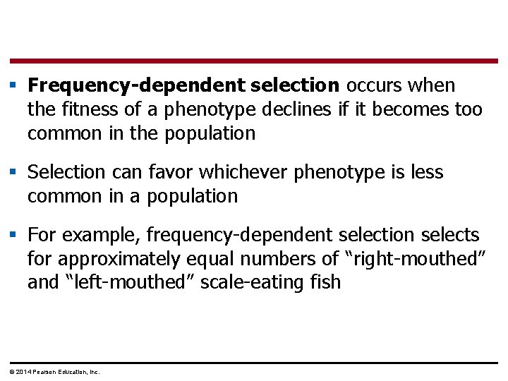 § Frequency-dependent selection occurs when the fitness of a phenotype declines if it becomes