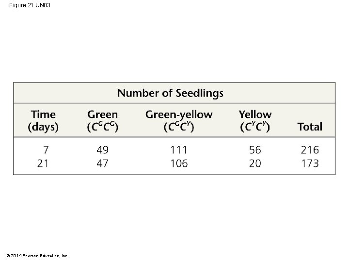 Figure 21. UN 03 © 2014 Pearson Education, Inc. 