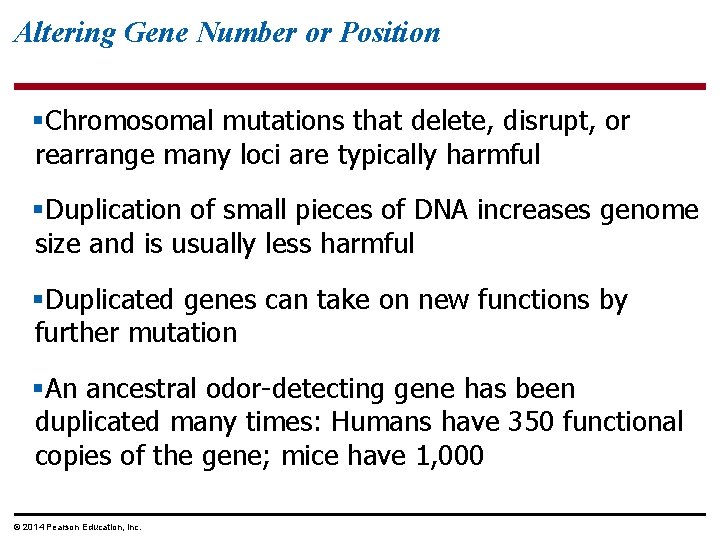 Altering Gene Number or Position §Chromosomal mutations that delete, disrupt, or rearrange many loci